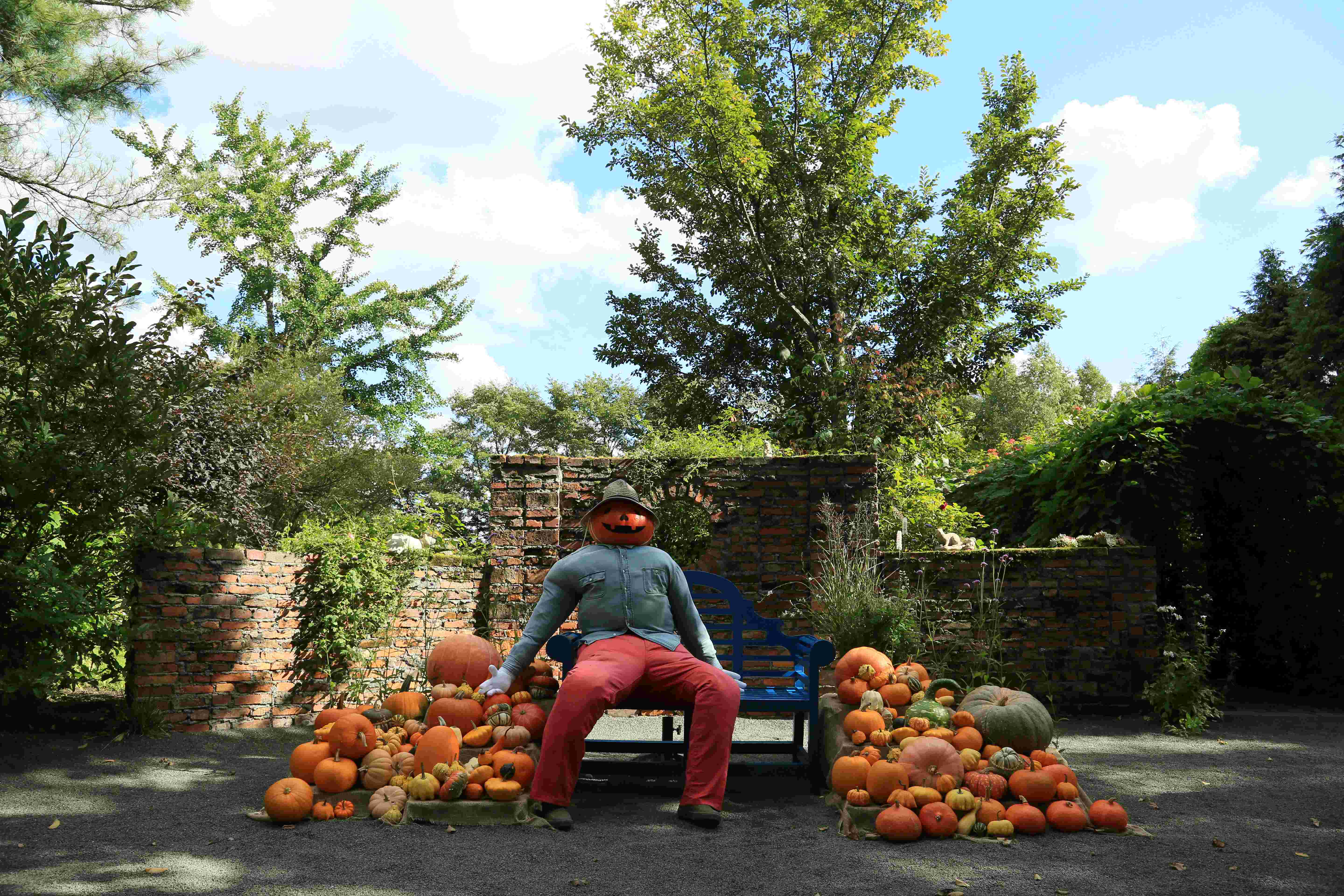 上野ファーム（北海道ガーデン街道）