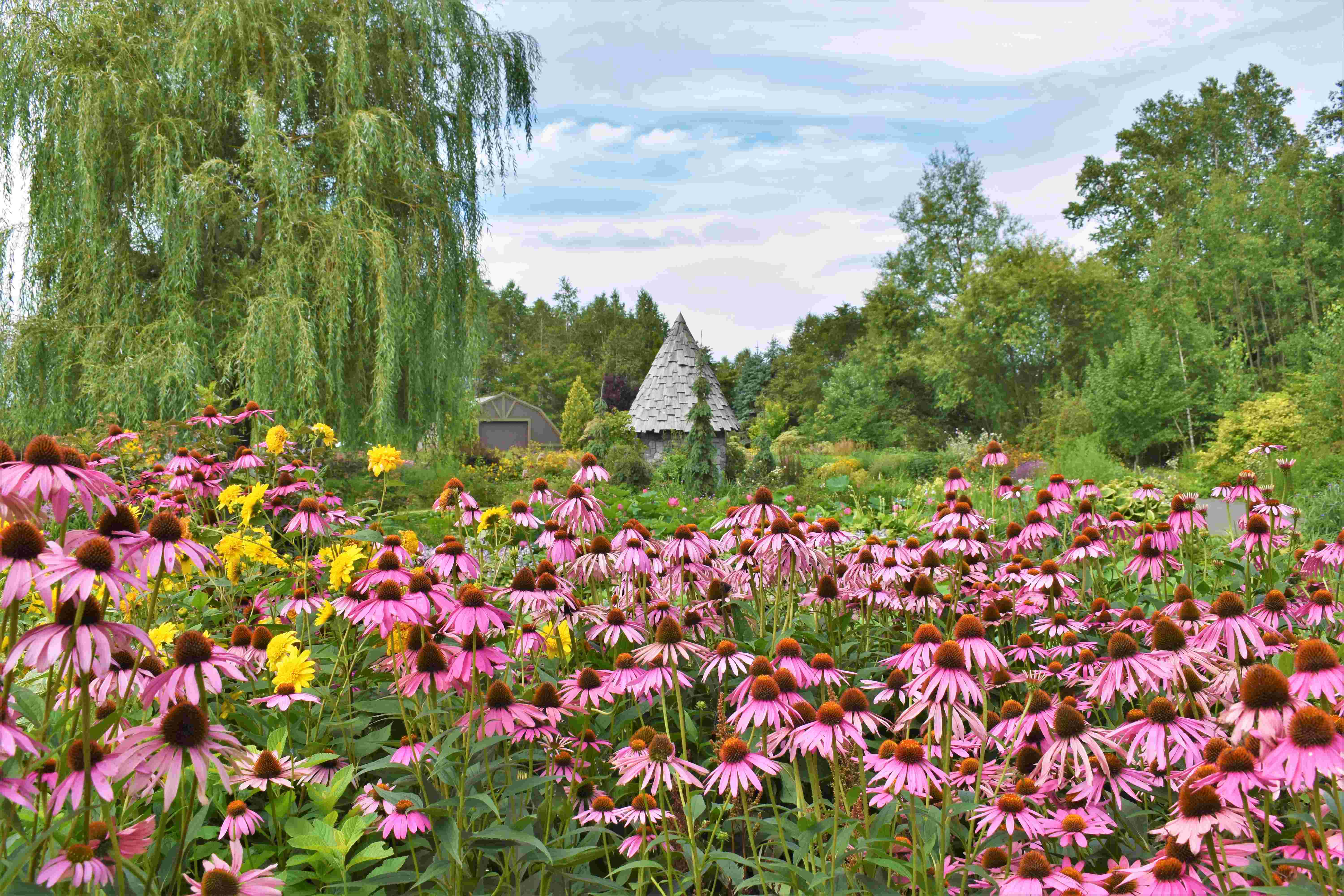 上野ファーム（北海道ガーデン街道）