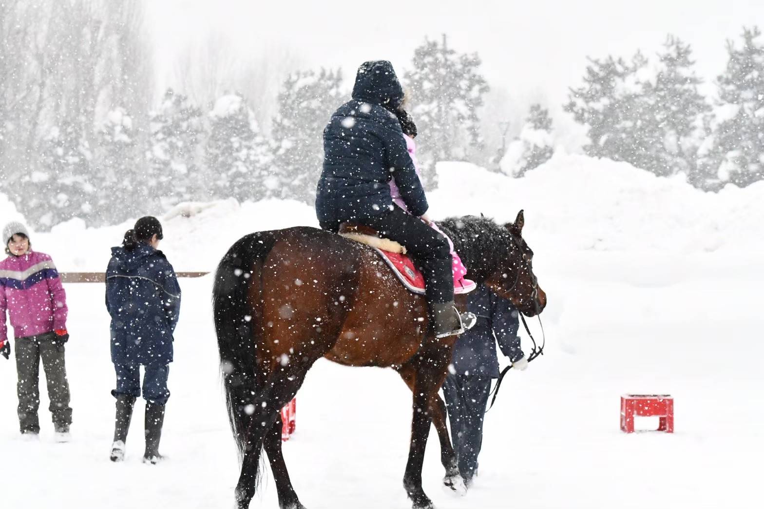 Asahikawa Equestrian Club
