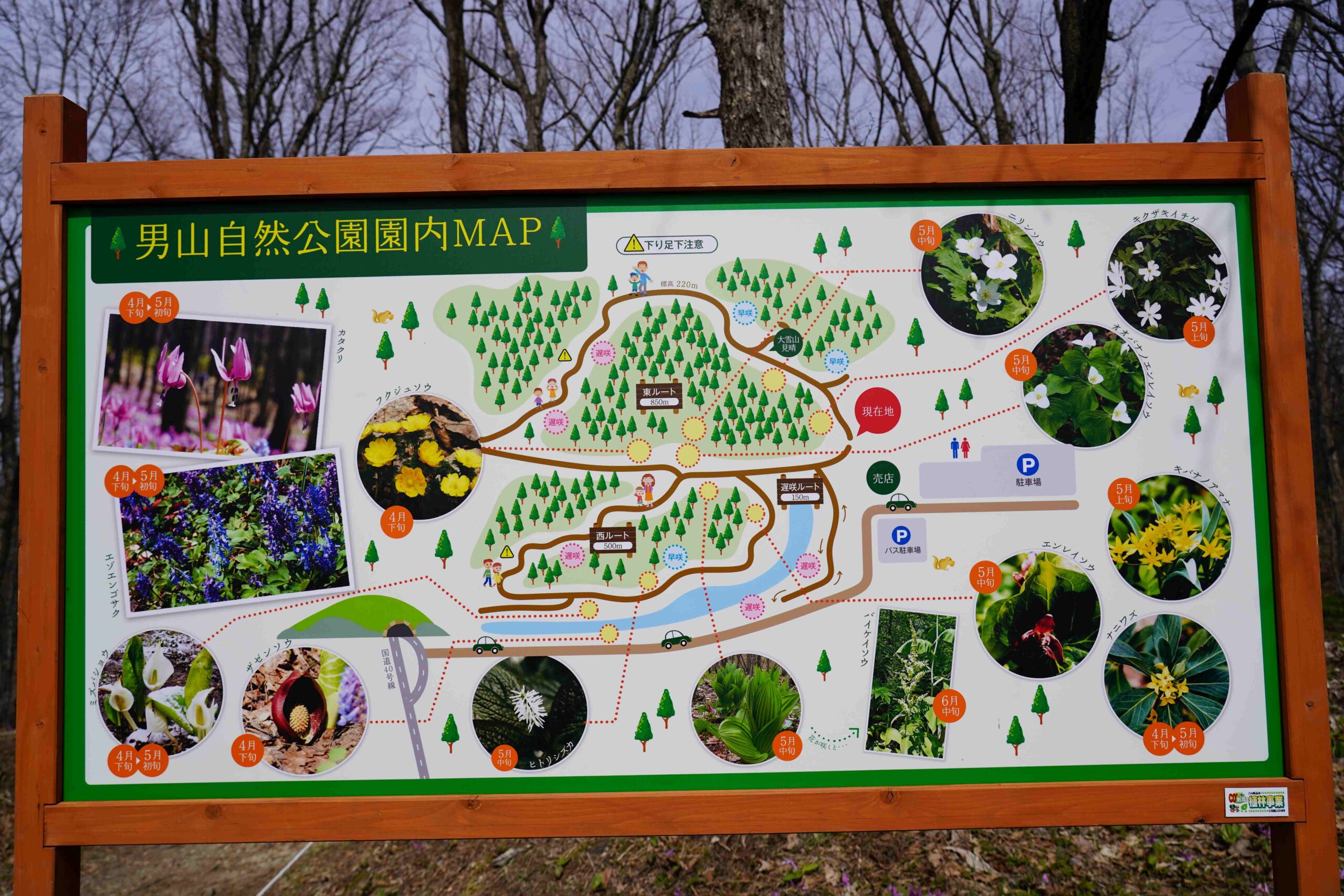 Otokoyama Nature Park