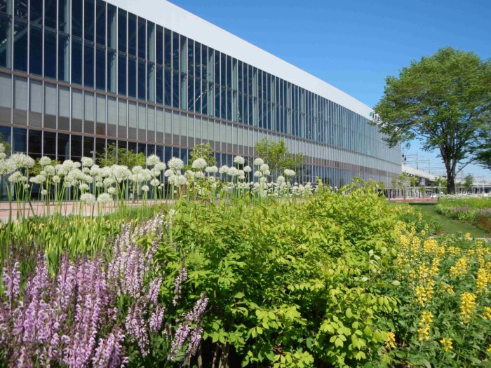 Asahikawa Kitasaito Garden