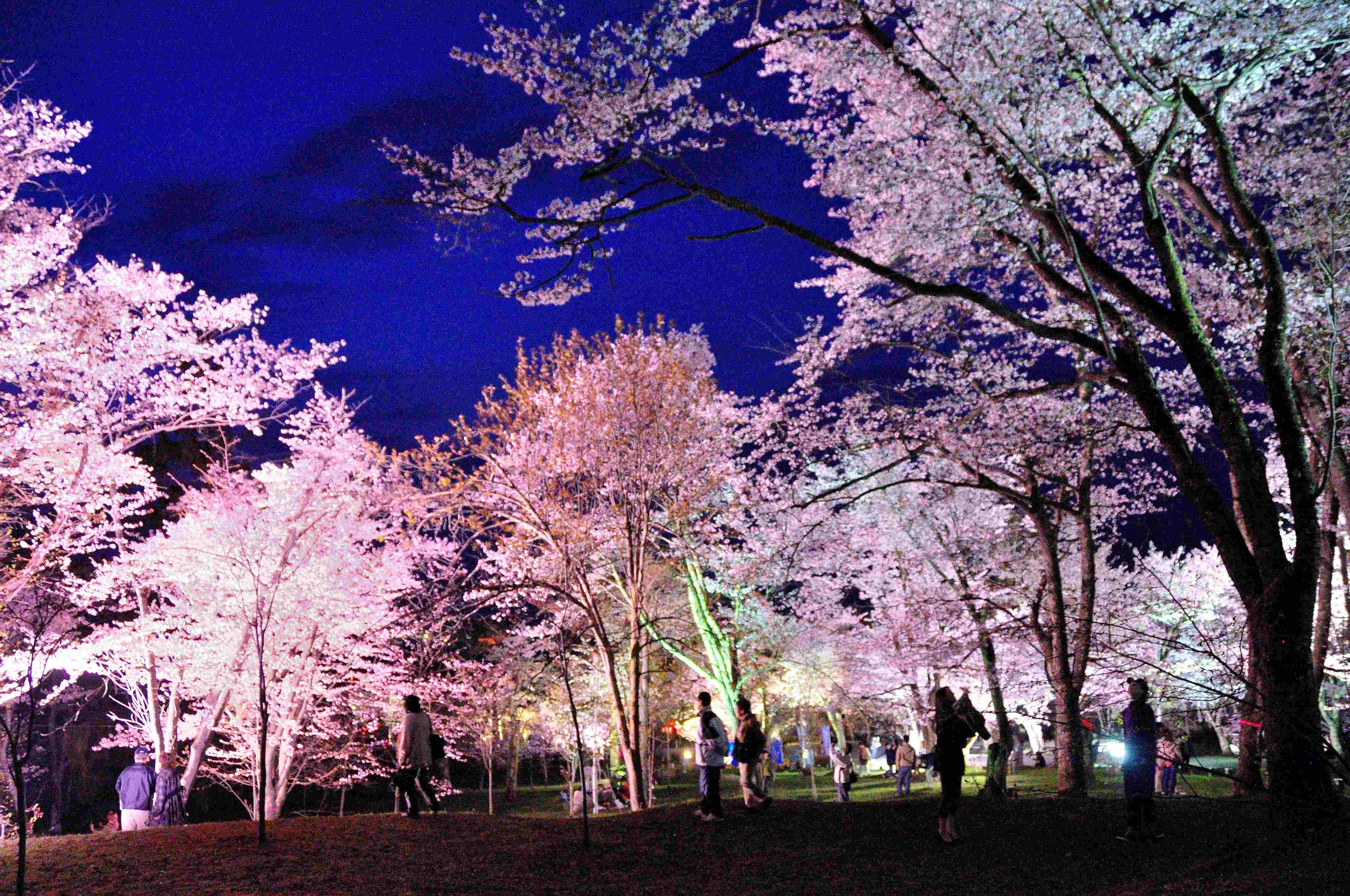Asahiyama Park