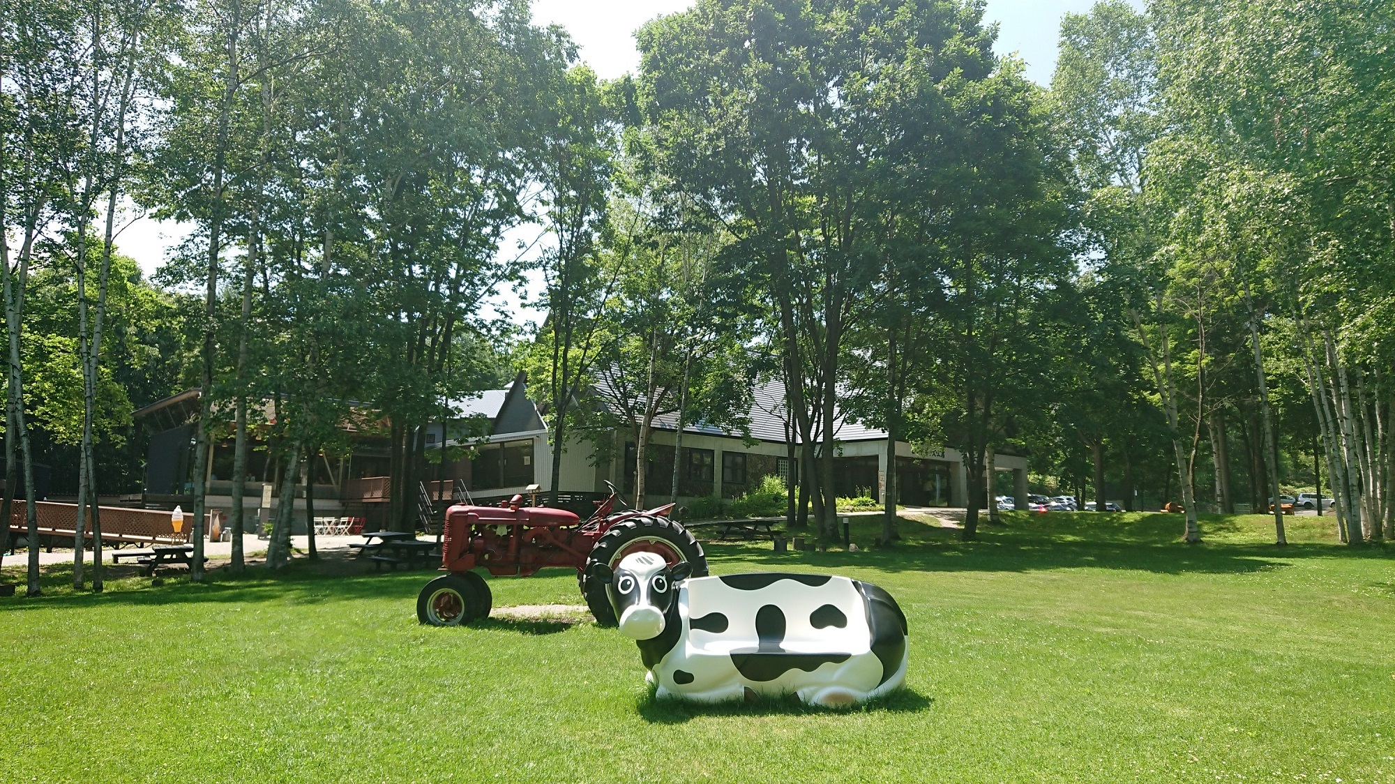 Furano Cheese Workshop