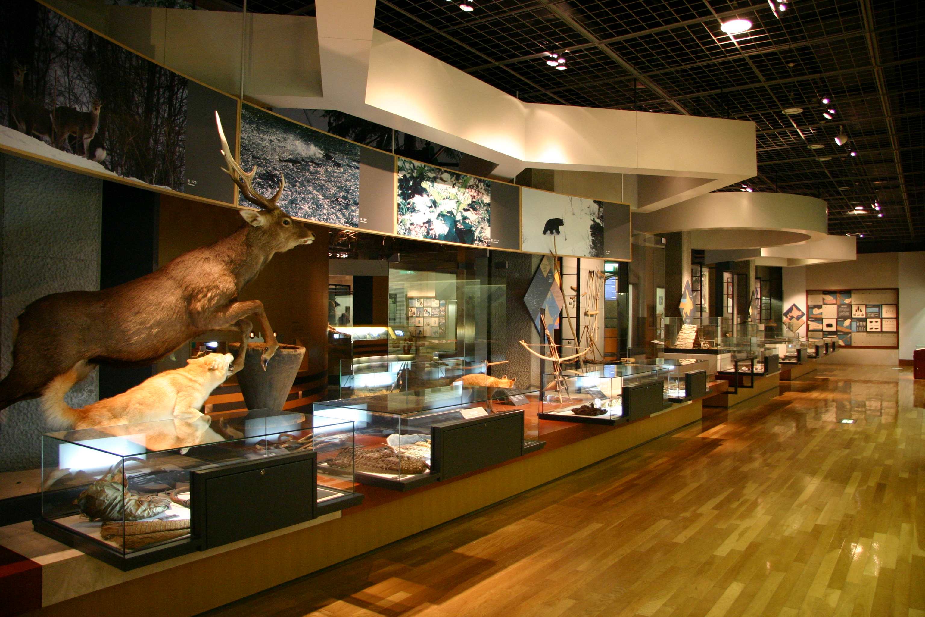 Asahikawa City Museum