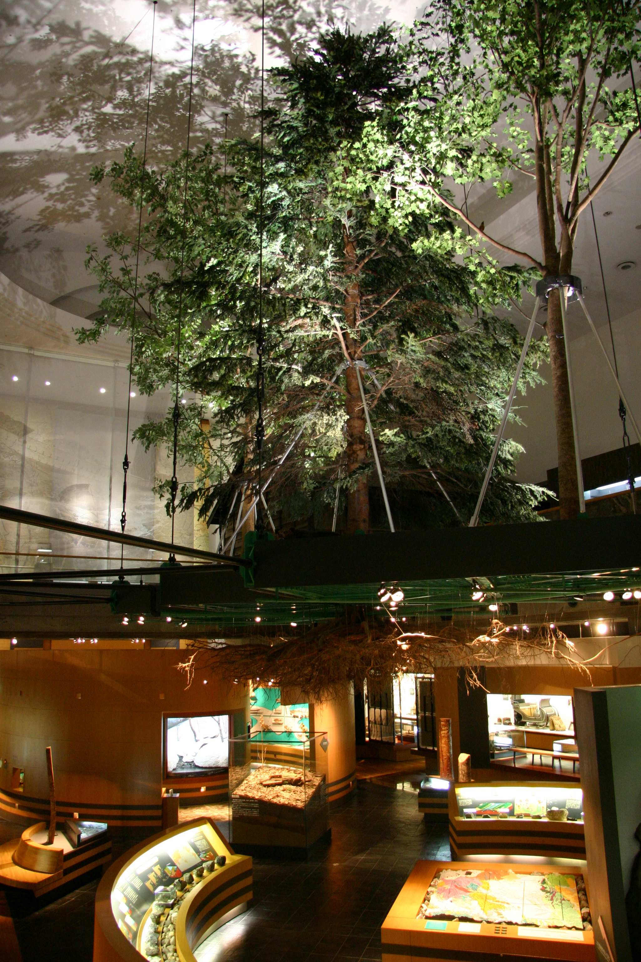 Asahikawa City Museum