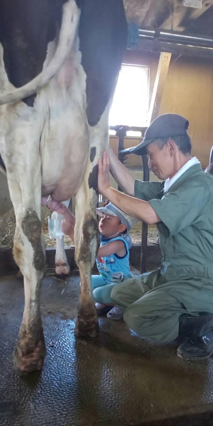 【Asahikawa Dairy Farming Experience】Milking  Butter Making Experience at Arakawa Farm