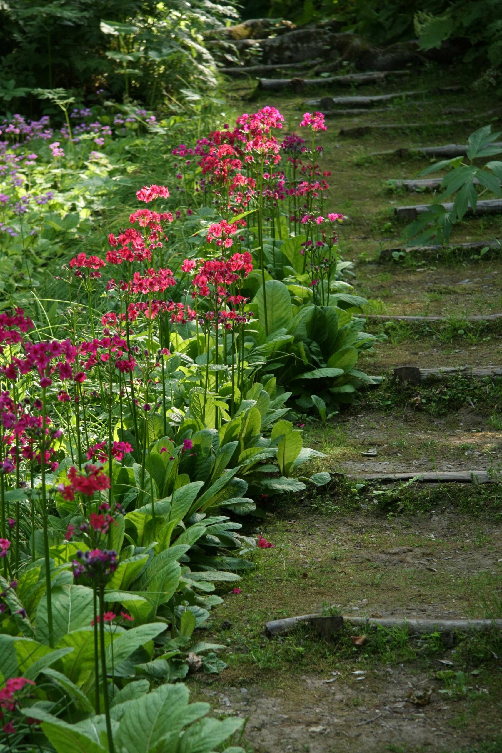 Arashiyama Observatory