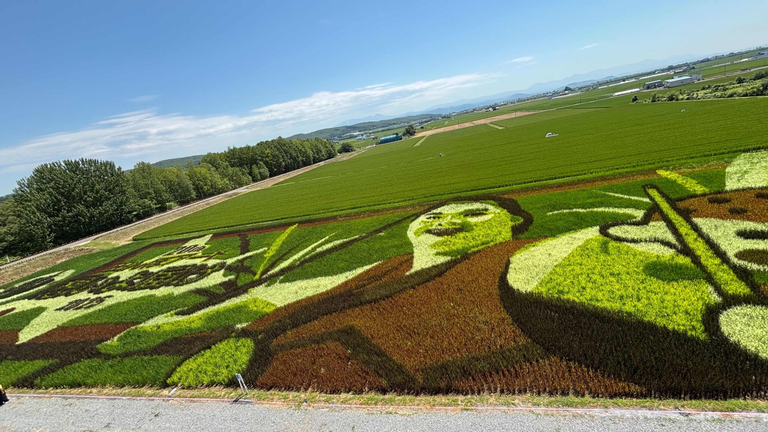 JA Taisetsu Rice Field Art