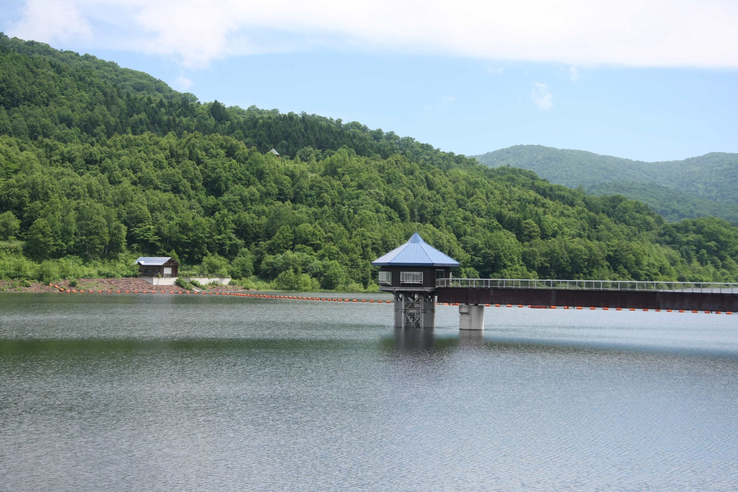 Asahikawa City 21st Century Forest