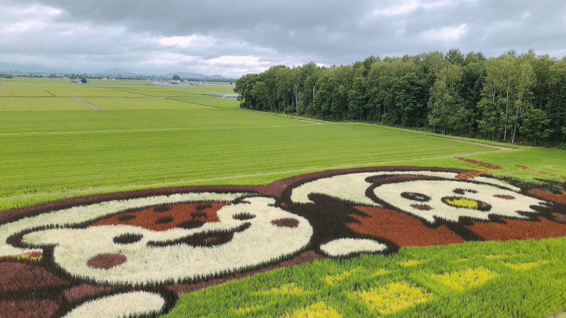 JA Taisetsu Rice Field Art