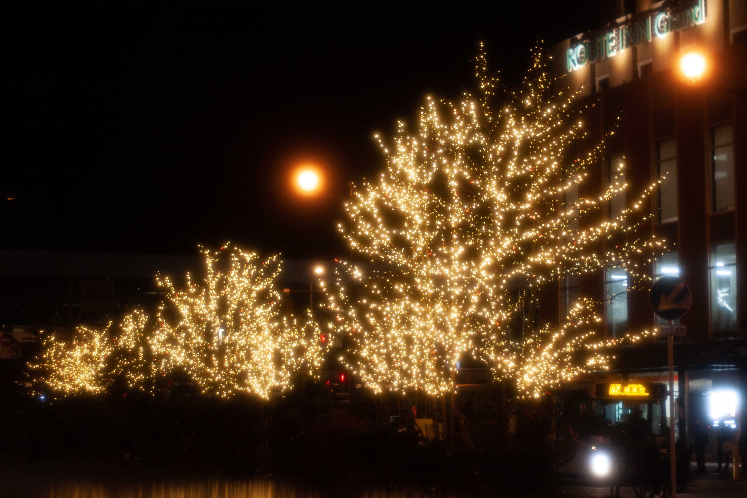 Yukinowa Asahikawa: A city where snow and light connect