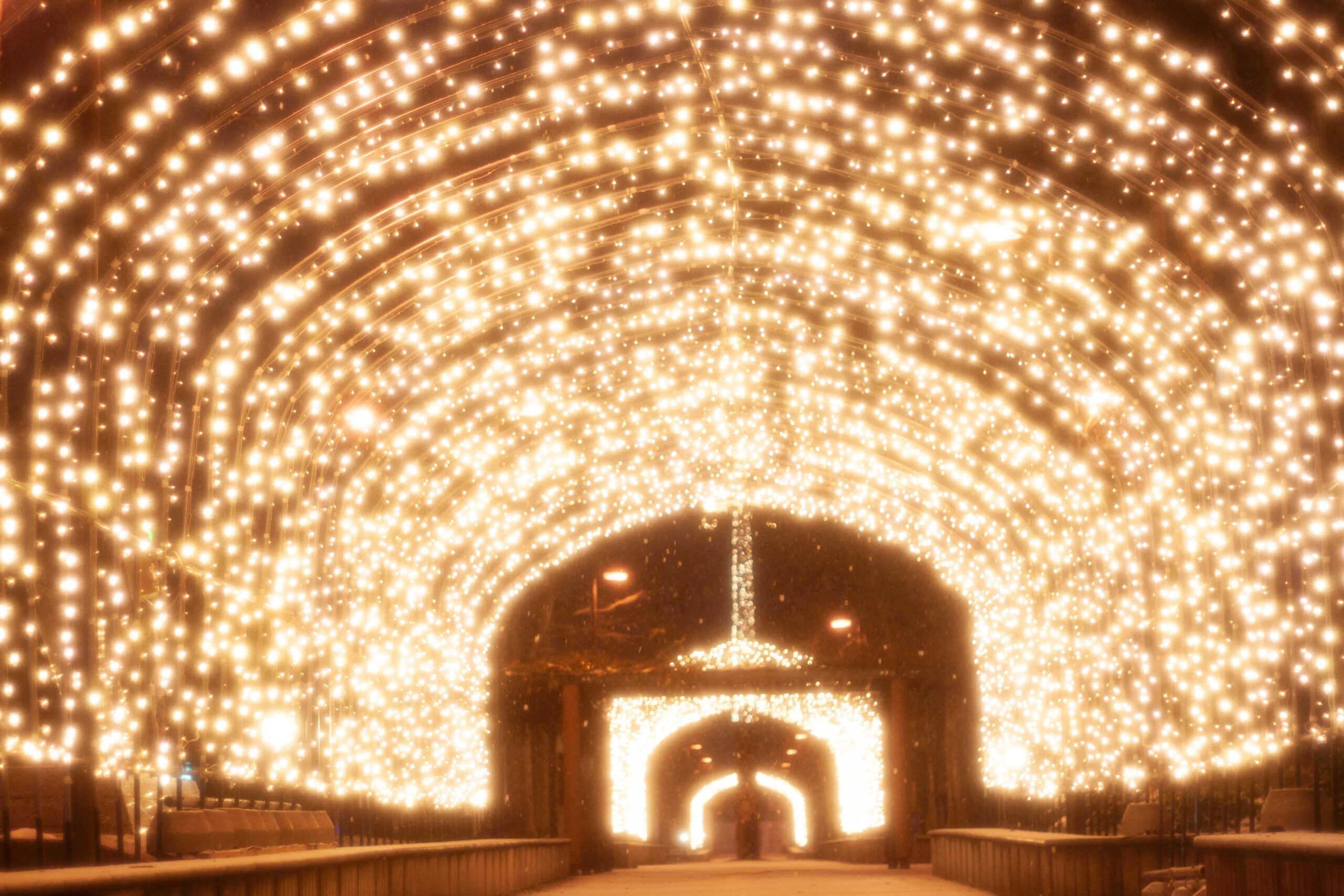 Yukinowa Asahikawa: A city where snow and light connect