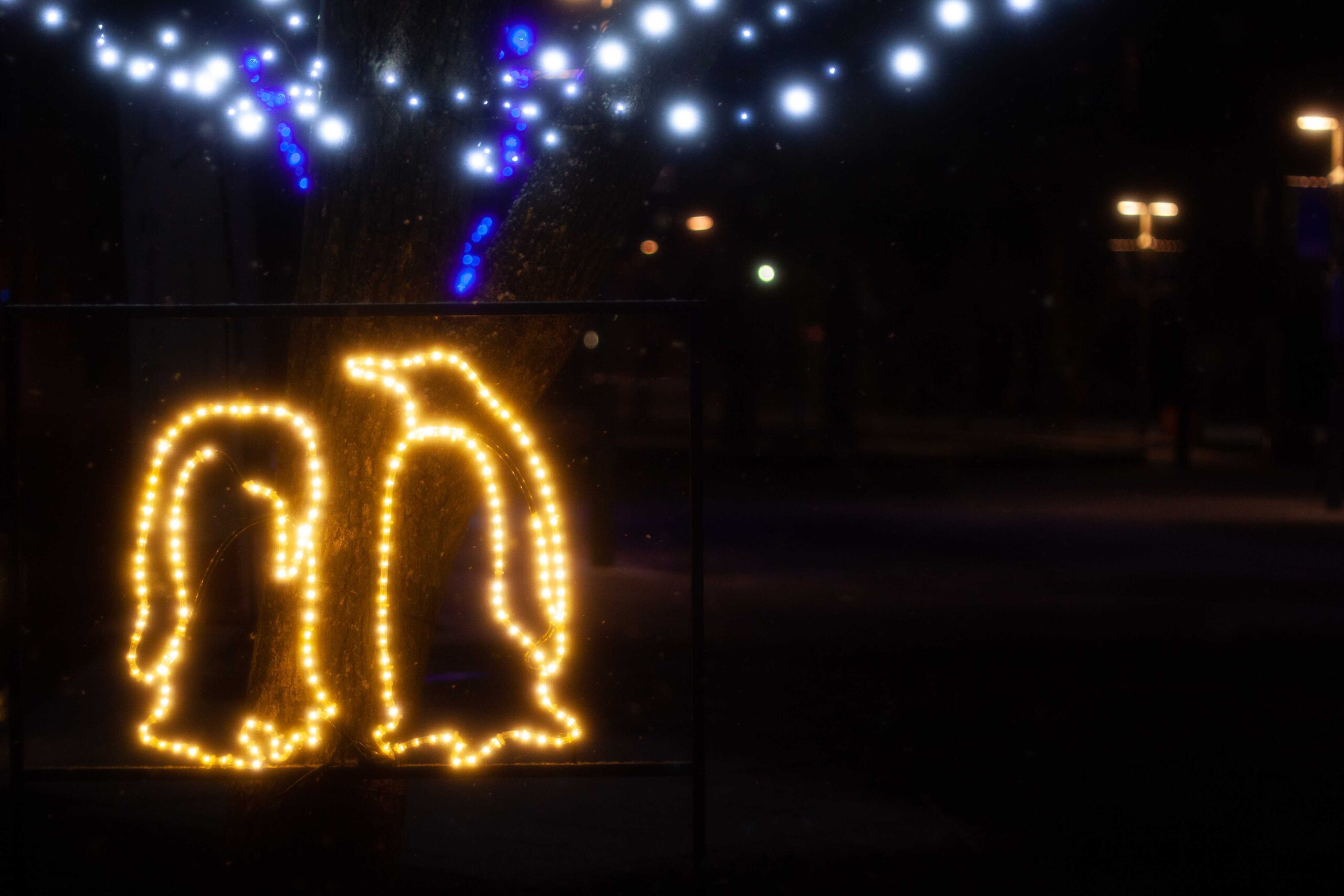 Yukinowa Asahikawa: A city where snow and light connect