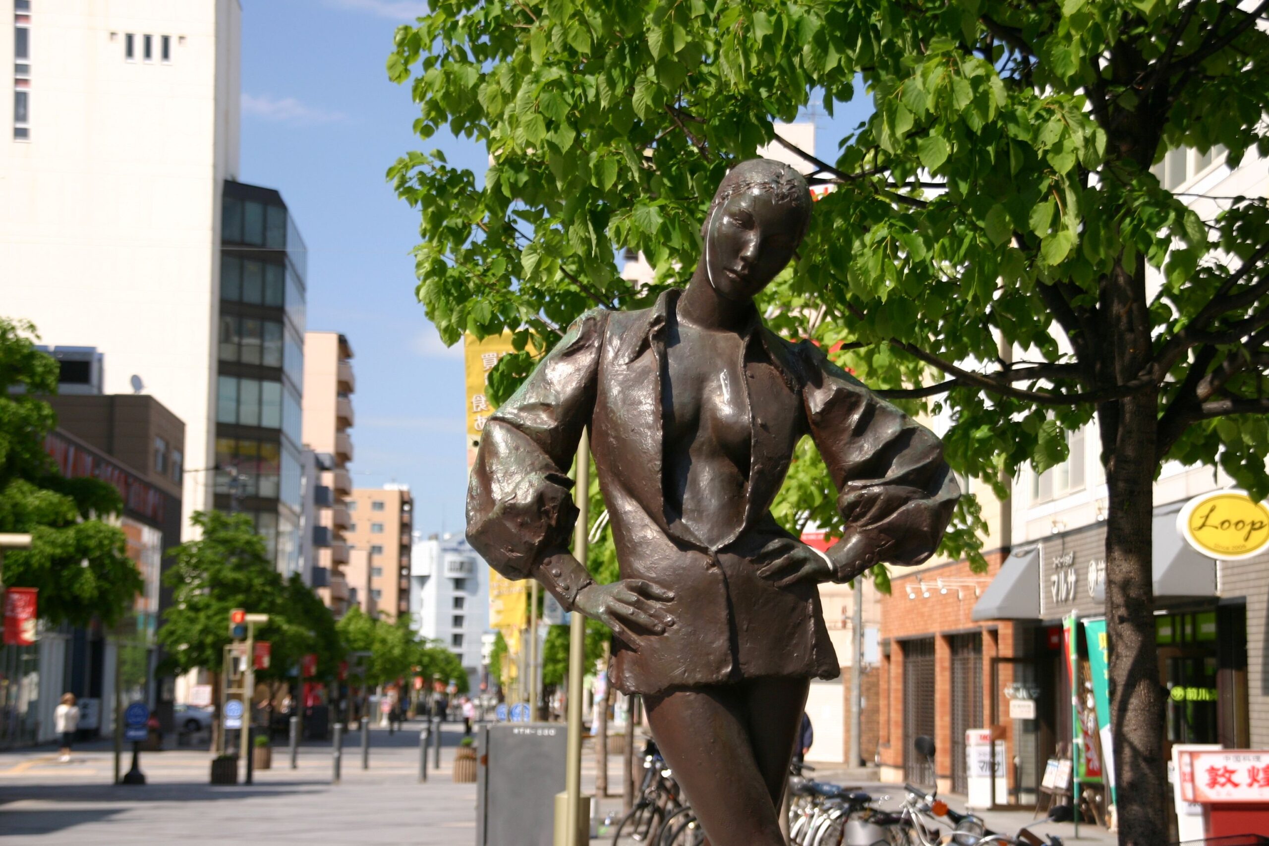 Heihe-dori Shopping Park