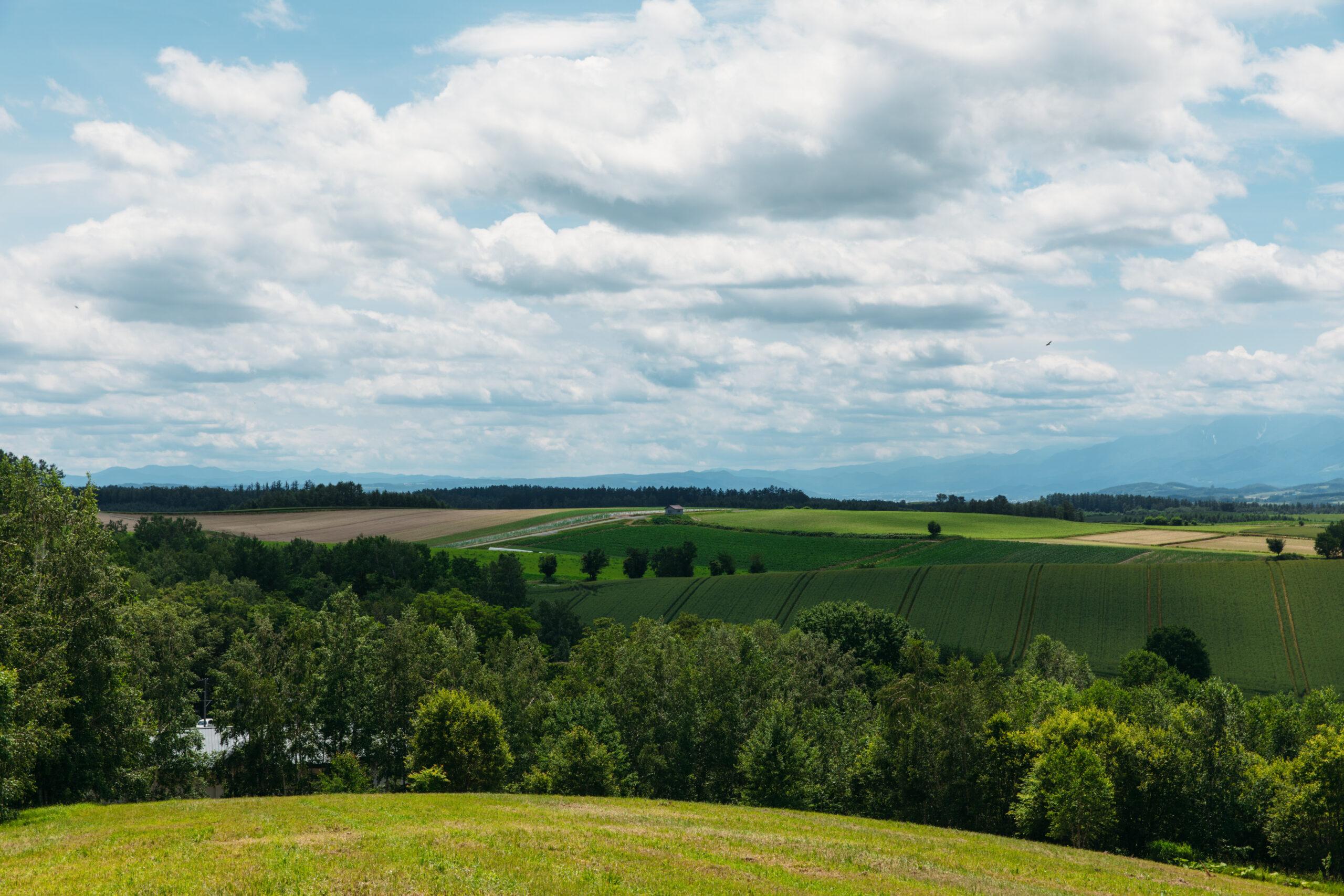 【Biei Town, Indigo Dyeing Experience】At “Indigo Dyeing Yui no Mori”, make a world-class original T-shirt