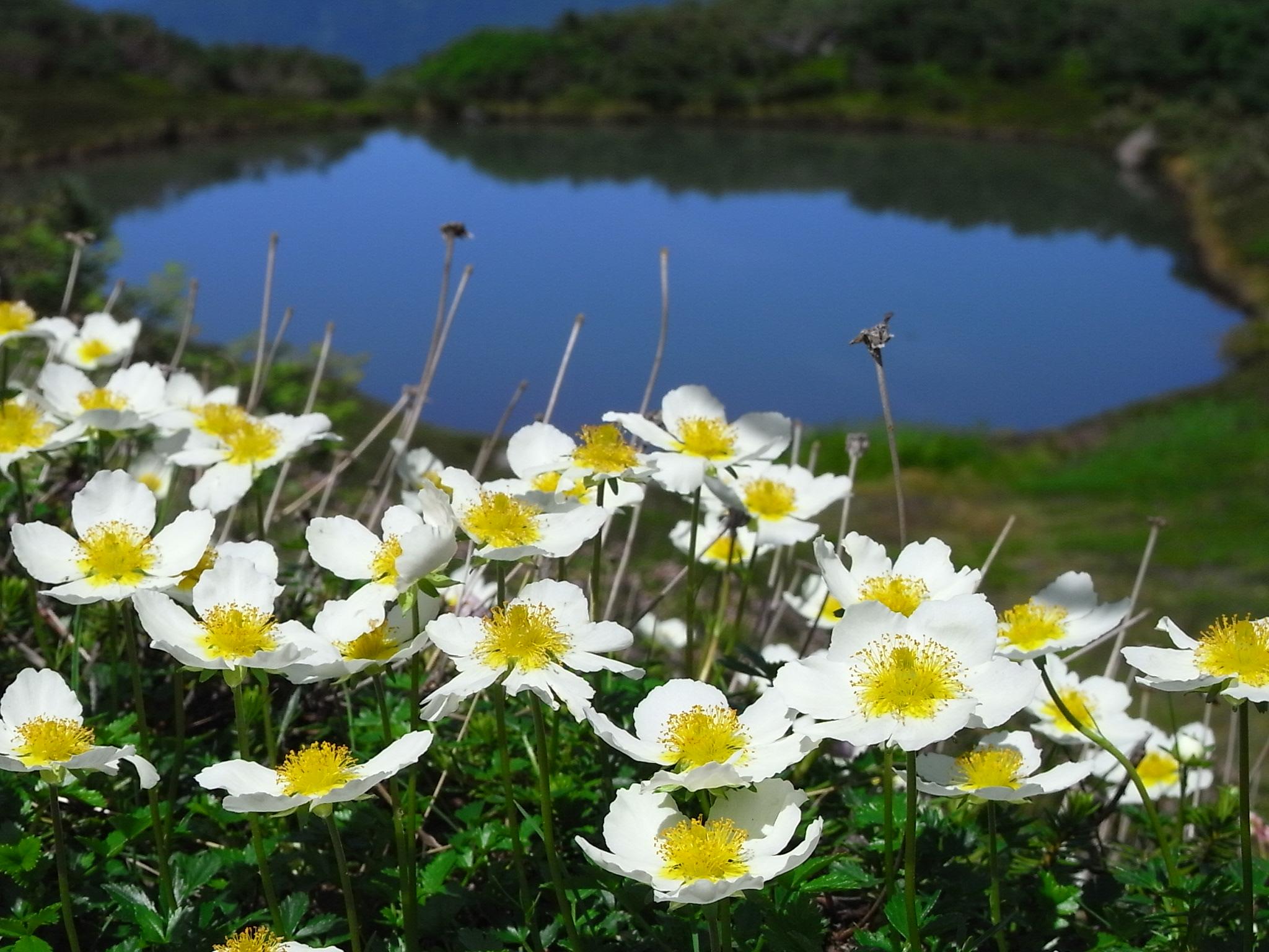 【Daisetsuzan National Park – Asahidake】Mt.Asahidake Sugatami-no-Ike Hiking tour