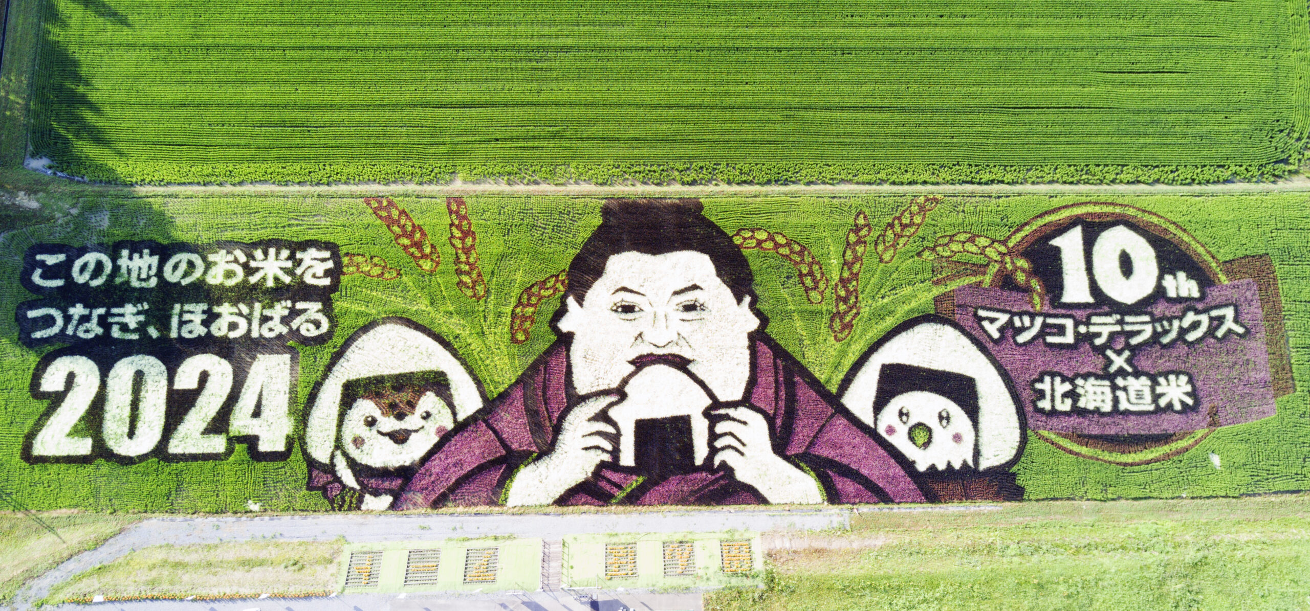 JA Taisetsu Rice Field Art