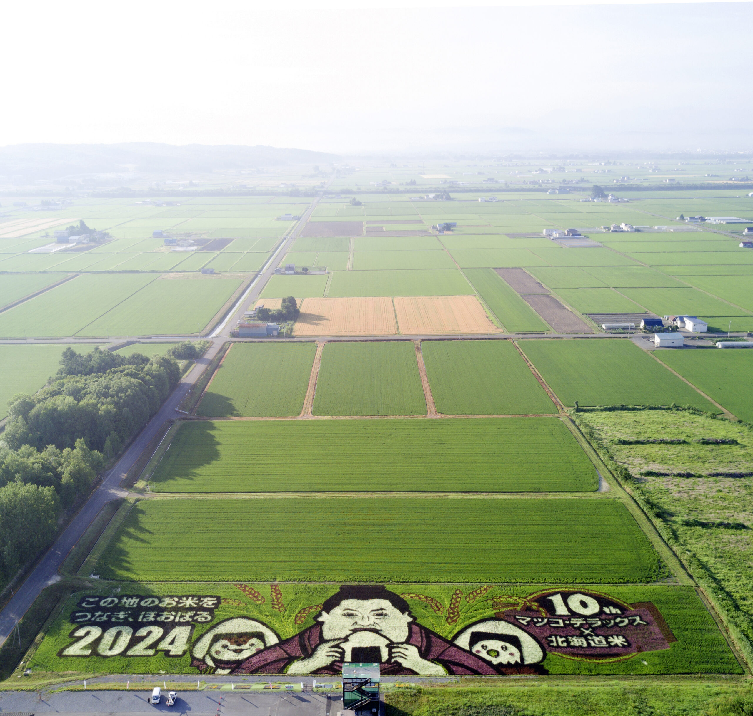 JA Taisetsu Rice Field Art
