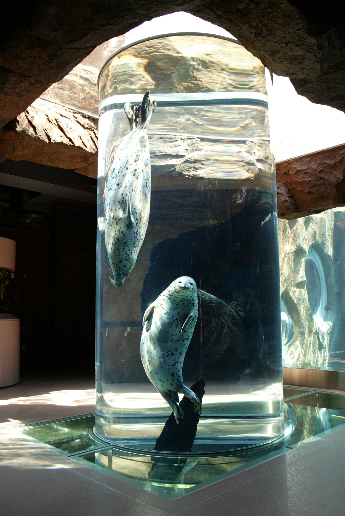 Asahikawa City Asahiyama Zoo