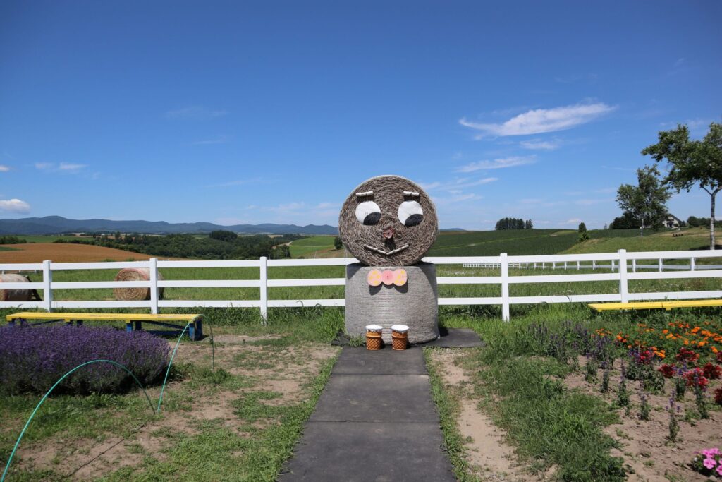 Shinei Hills Observation Park