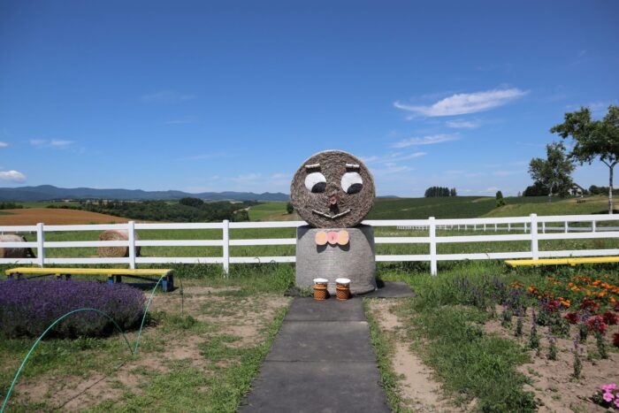 Shinei Hills Observation Park