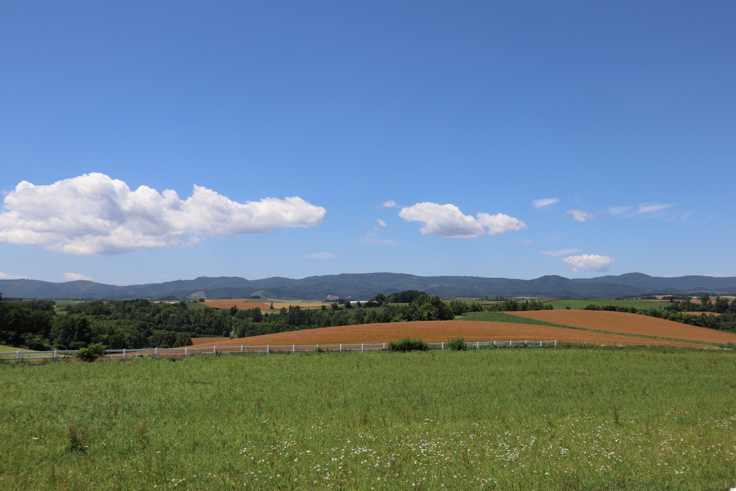 新栄の丘展望公園