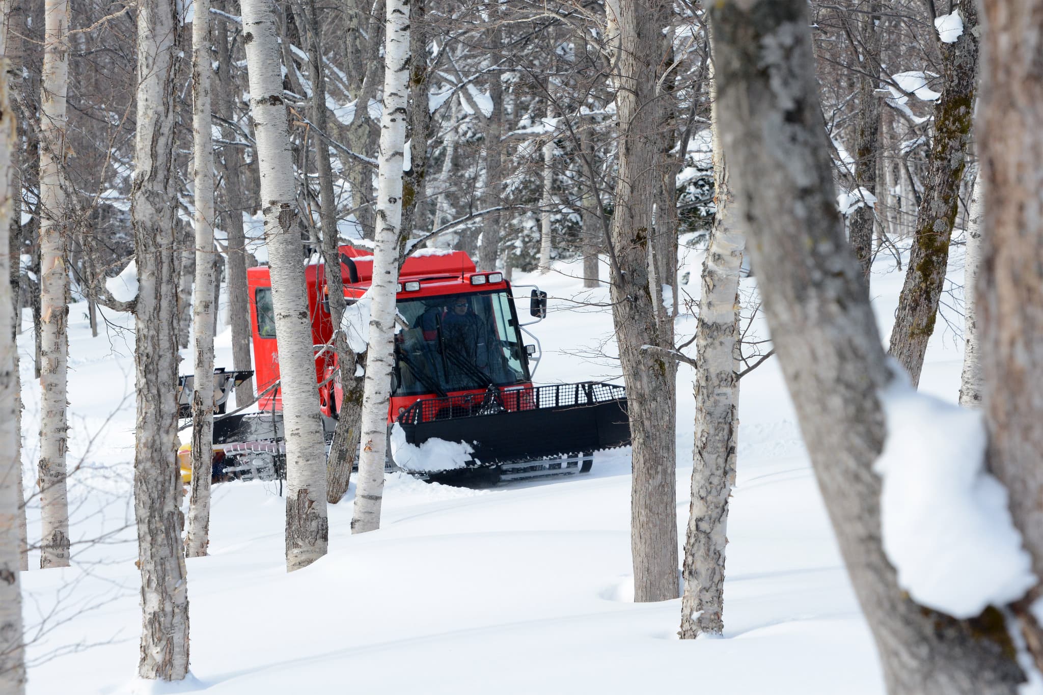 大雪 森のガーデン（北海道ガーデン街道）