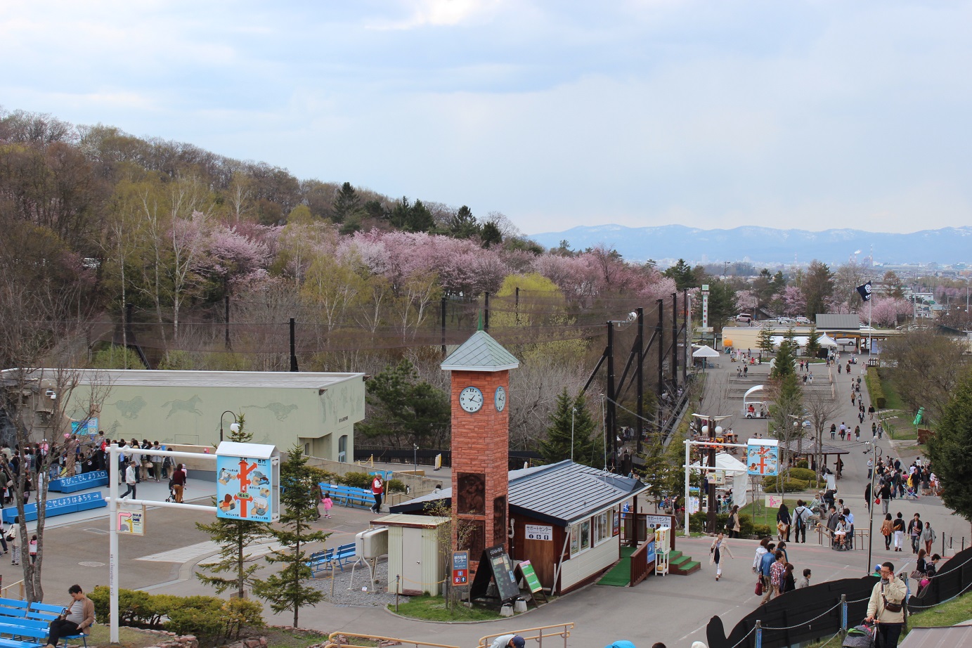 Asahikawa City Asahiyama Zoo