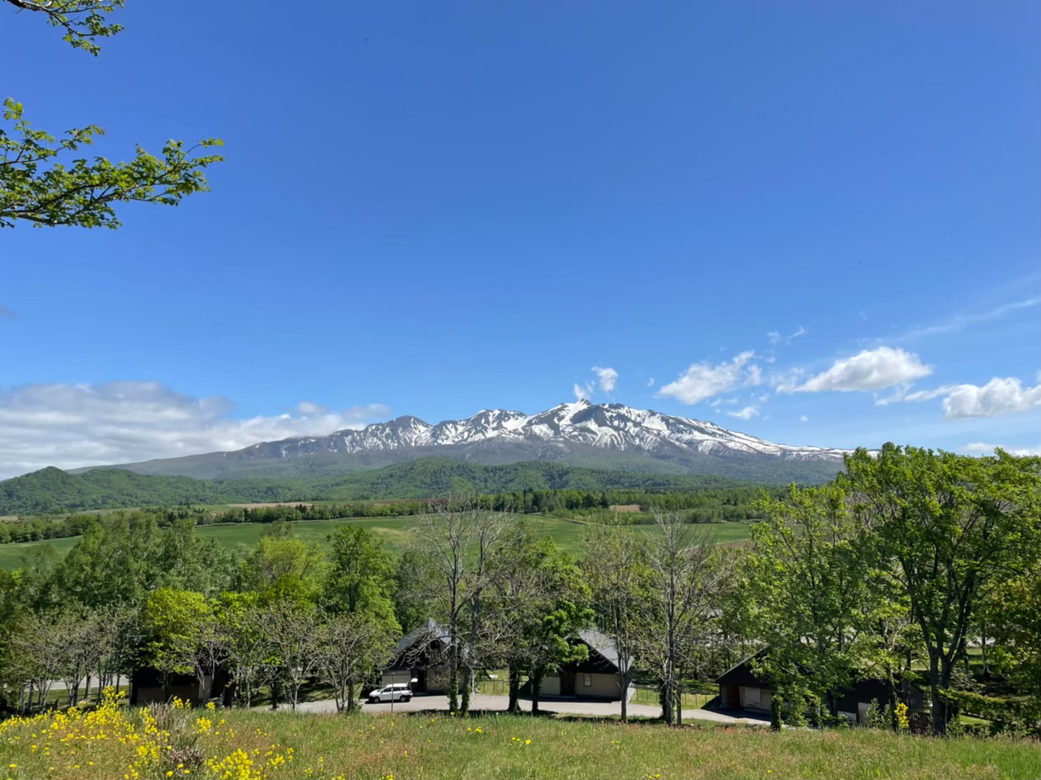 A must-see for flower lovers! Climbing Daisetsuzan and Mt. Kurodake and walking in the garden for 2 days