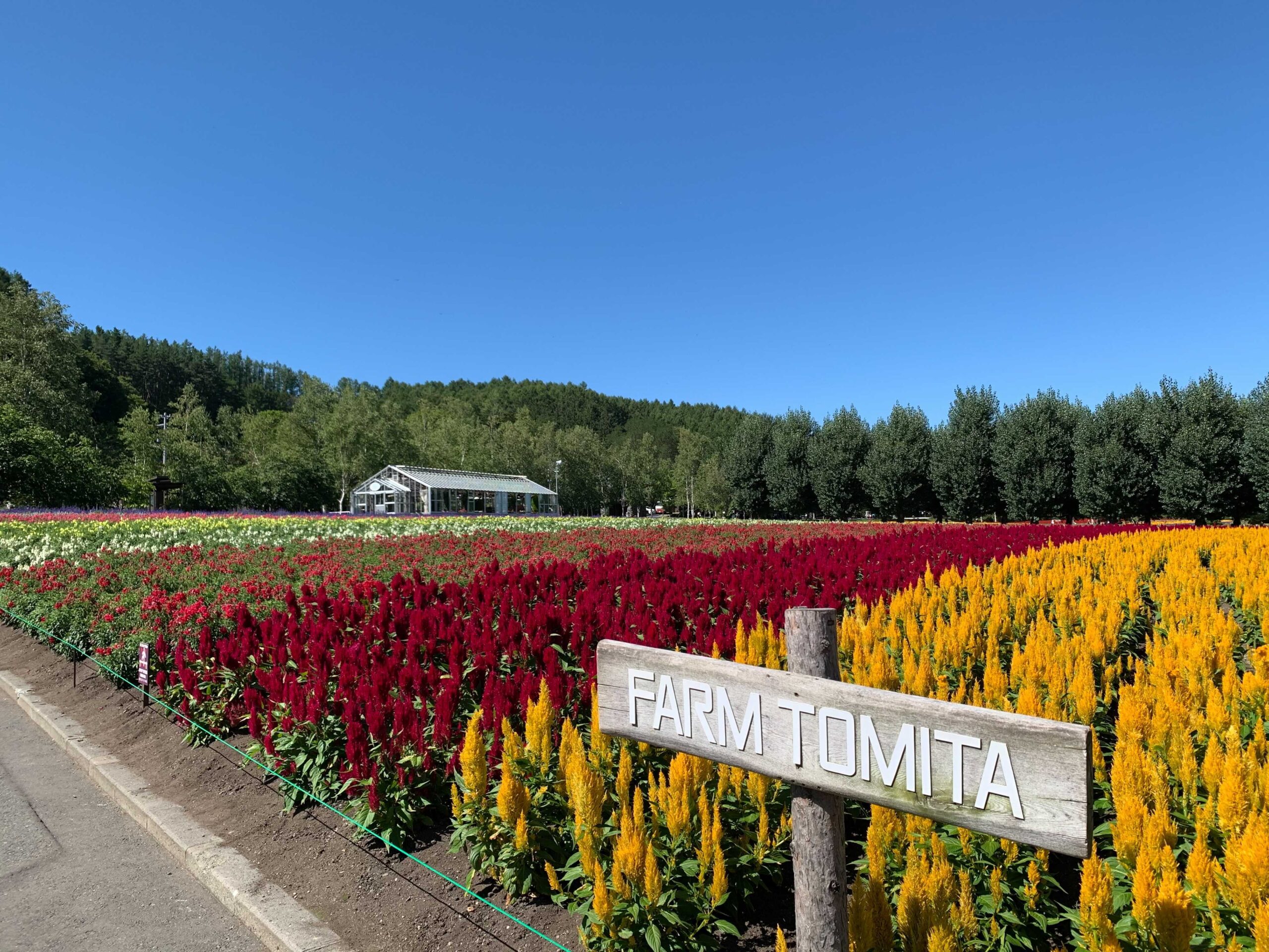 Farm Tomita