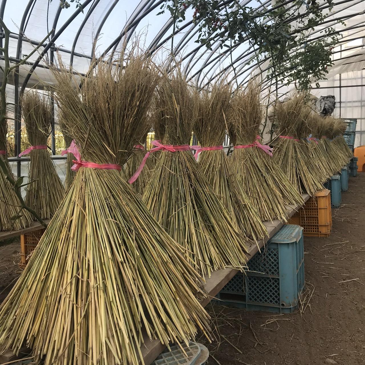 【Aibetsu Town Craft Experience】Traditional decoration “Himeri” making experience to pray for a good harvest