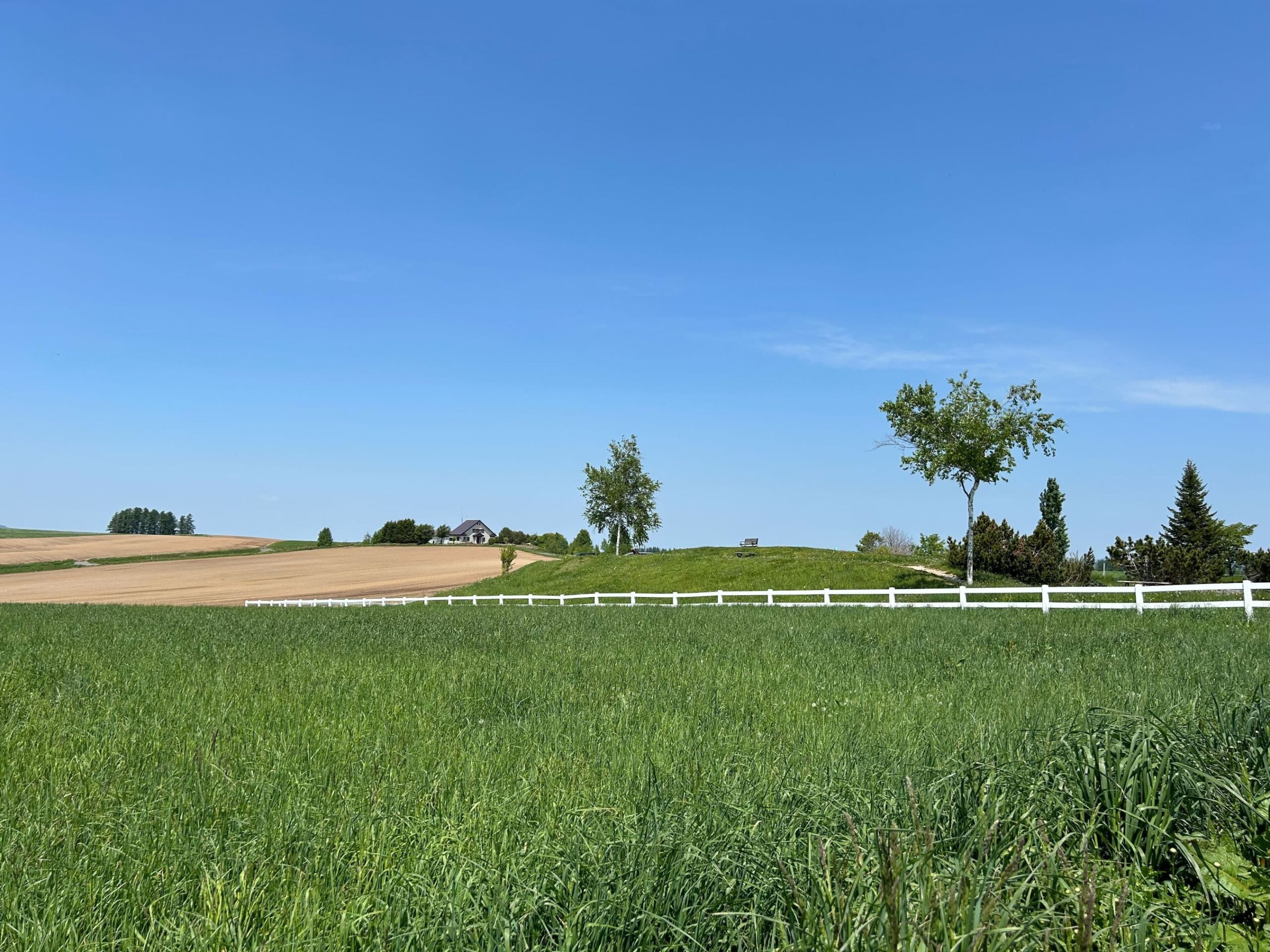 新栄の丘展望公園