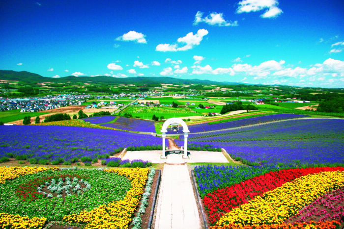 Sunrise Park Lavender Garden