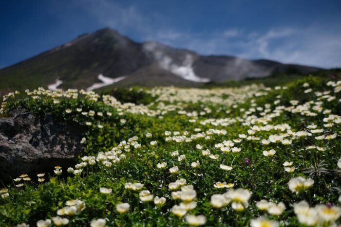 Daisetsuzan Asahidake Viewing Pond