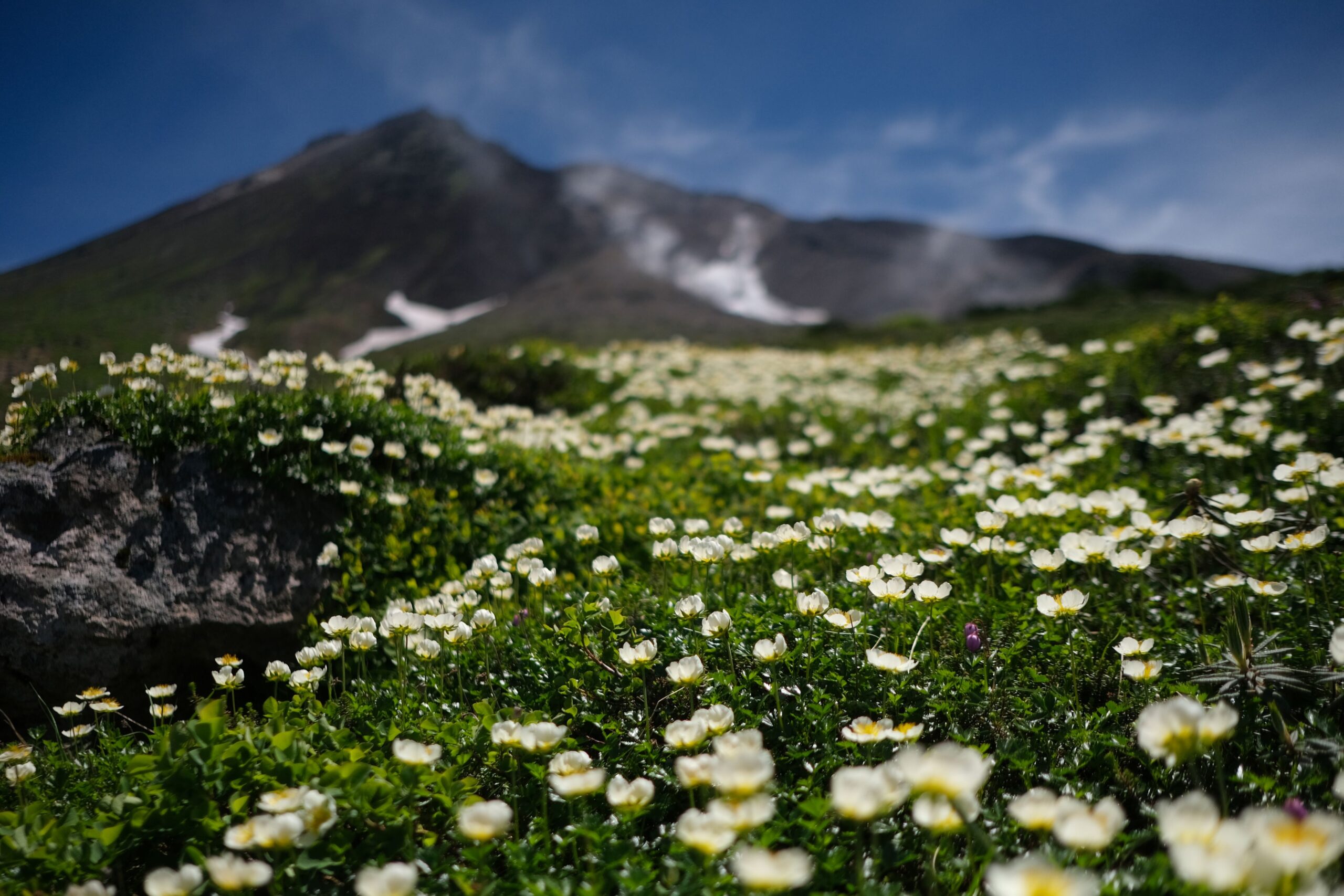 Daisetsuzan Asahidake Viewing Pond