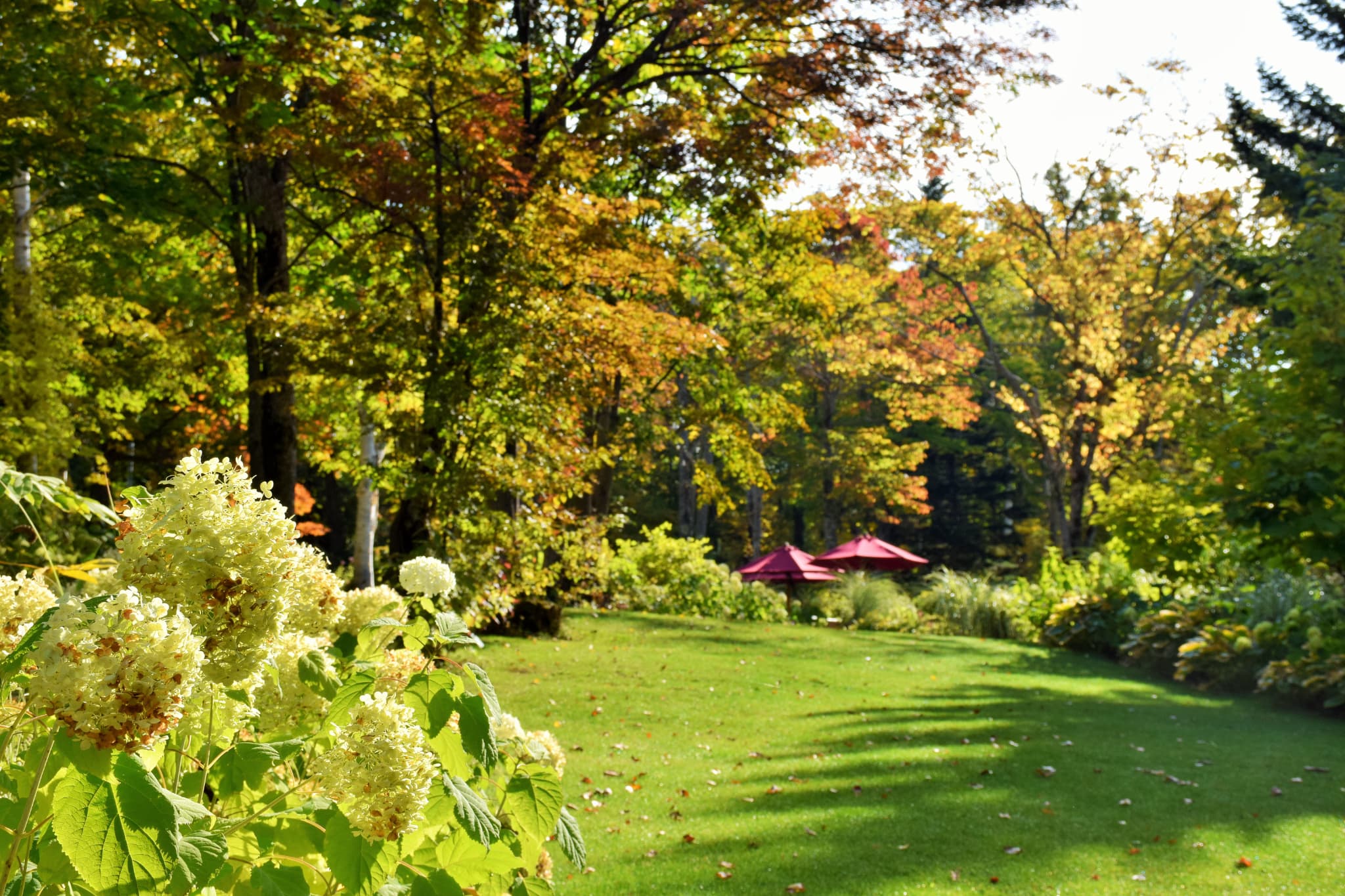 大雪 森のガーデン（北海道ガーデン街道）