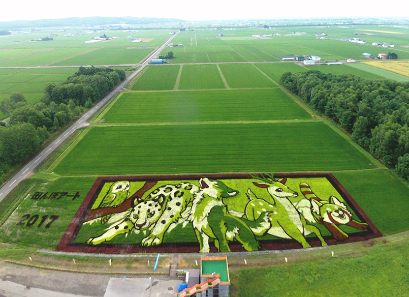 JA Taisetsu Rice Field Art