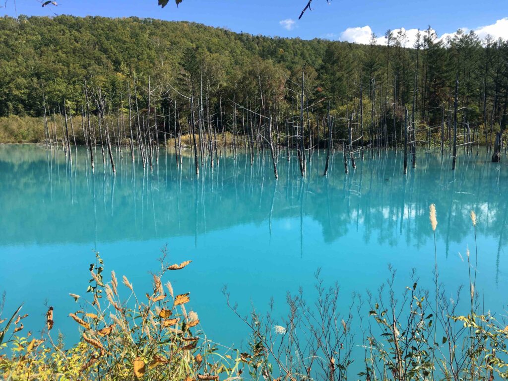 Platinum Blue Pond