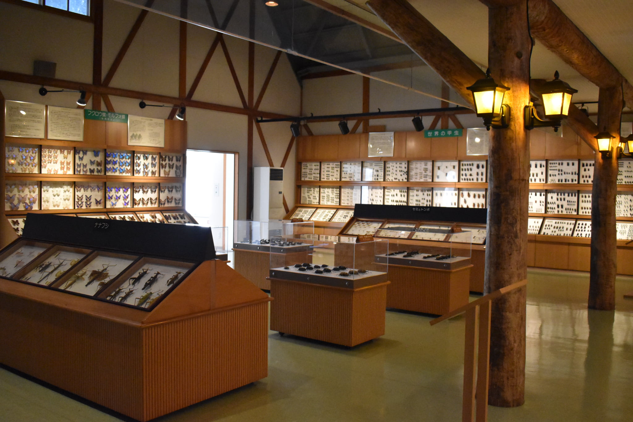 Toma World Insectarium Papillon Château