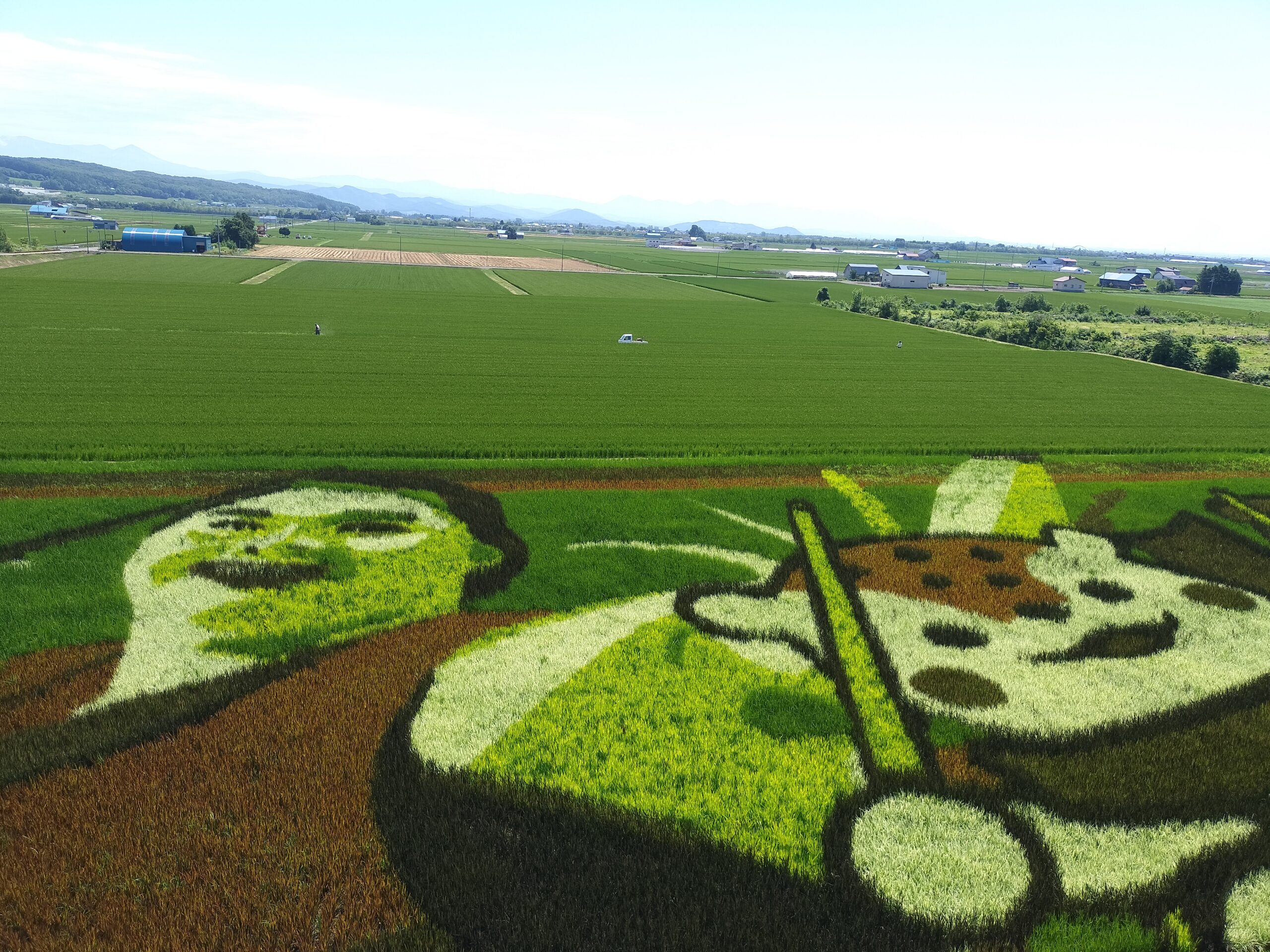 【サイクリング】北海道有数の米どころ鷹栖町・田んぼを巡る「田園ライド」サイクリングガイドツアー
