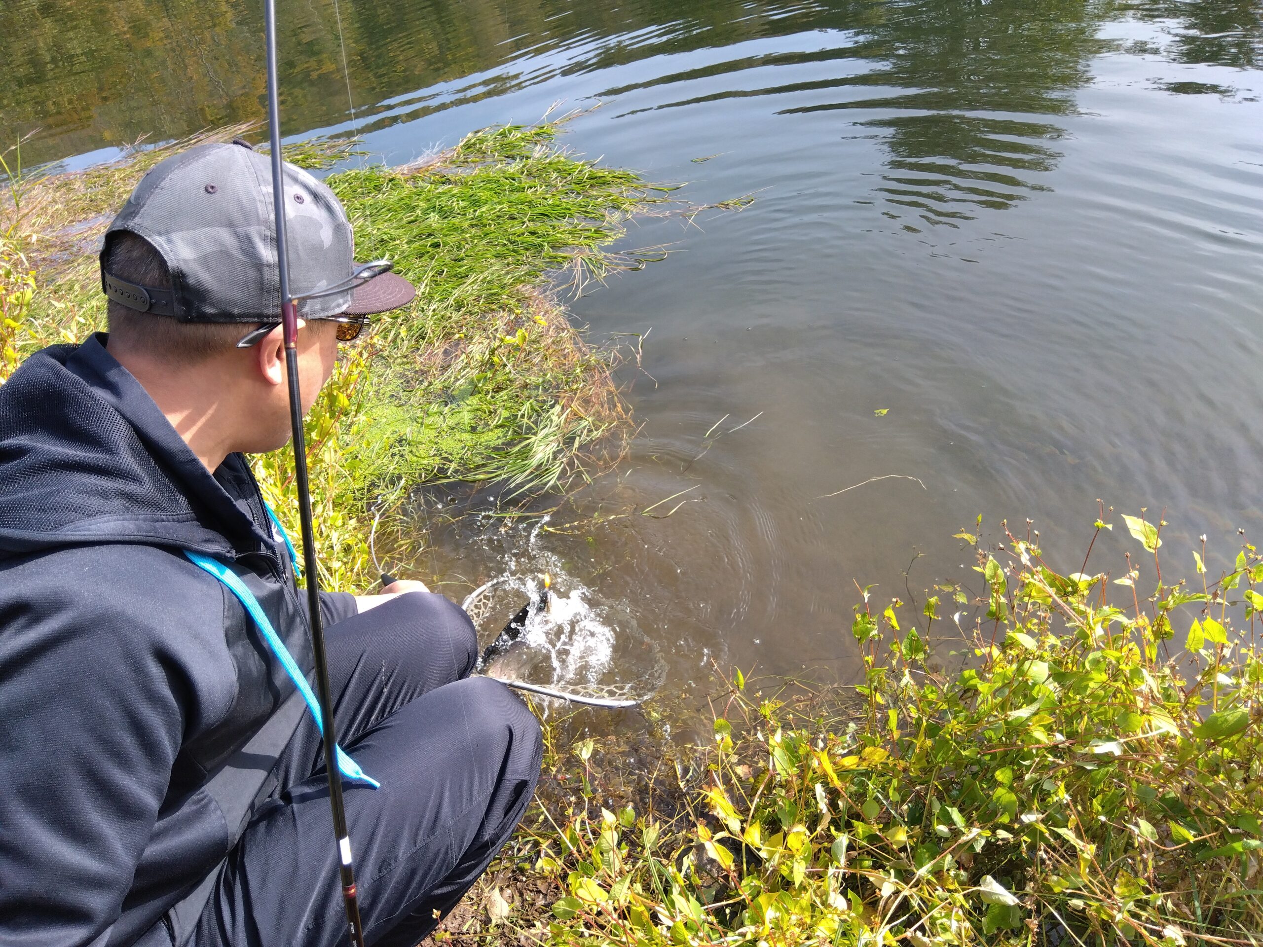 Nijisusu Kobo Pippu no Fishing Pond