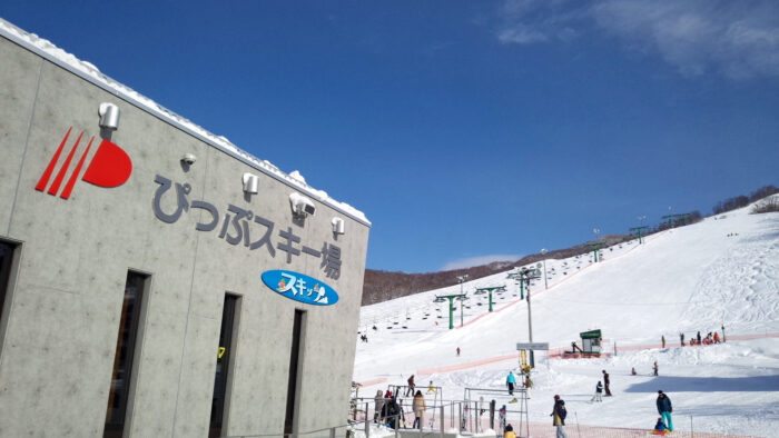 Enjoy powder snow in Hifu  a fantastic horseback riding experience in the snow