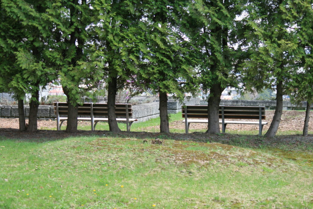 お知らせサンプル