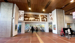 Opposite the east ticket gate of JR Asahikawa Station