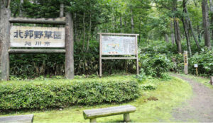 In the direction of the arrow. Trekking (about 30 minutes one way to the observation deck)