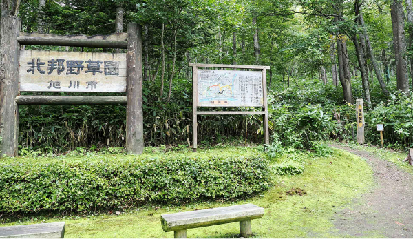 矢印の方向へ。トレッキング（展望台まで片道約30分）