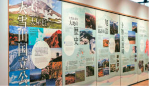 Animals and plants that live and grow around Daisetsuzan are introduced through taxidermy, resin specimens, and AR exhibitions.