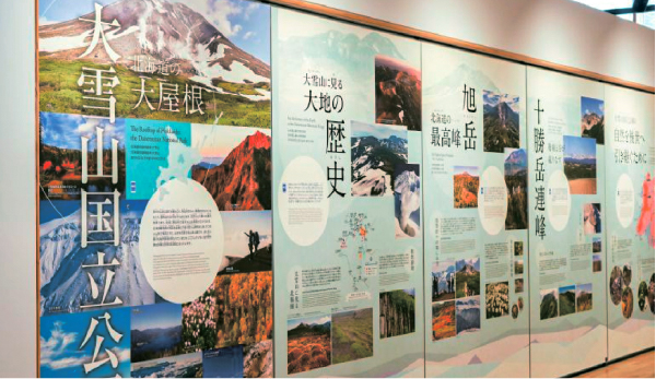 大雪山周辺に生息・生育する動植物を、剥製、樹脂標本、AR展示で紹介しています。