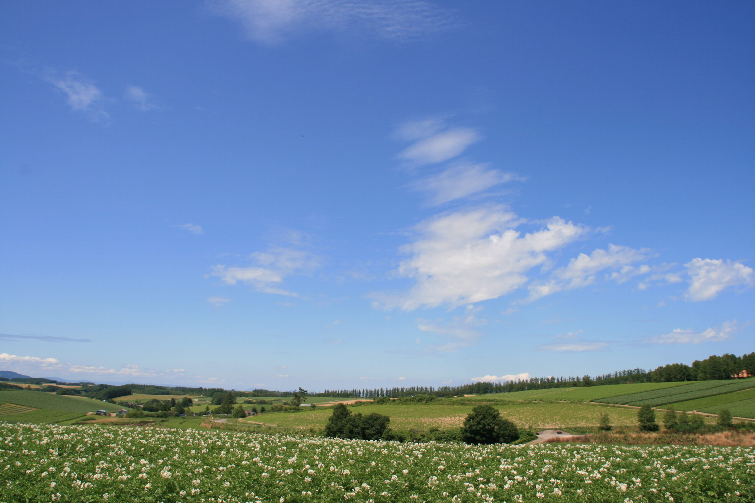 Sanai Hills Observation Park