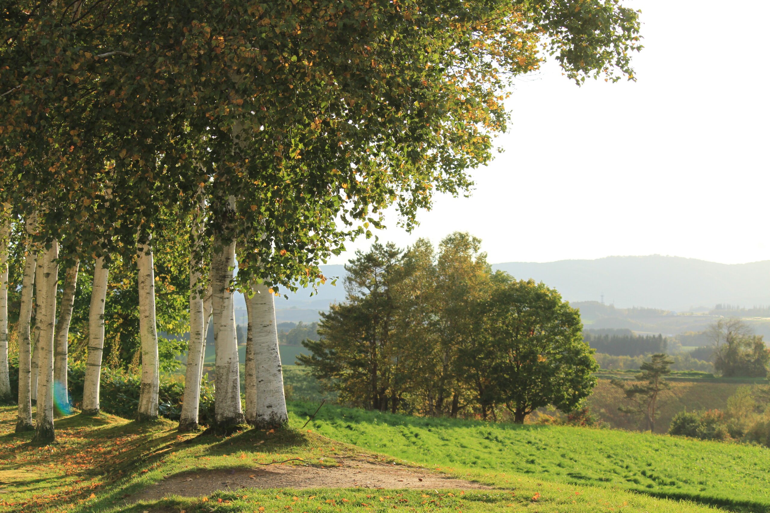 Sanai Hills Observation Park